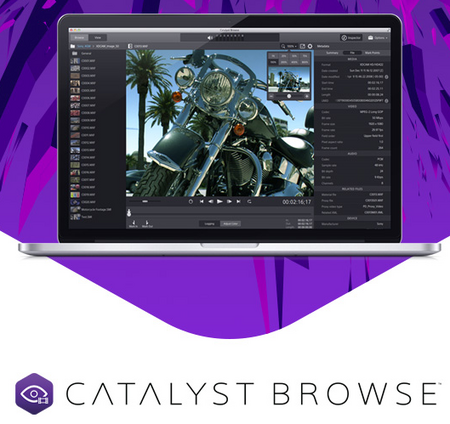 CatalystBrowse2.png